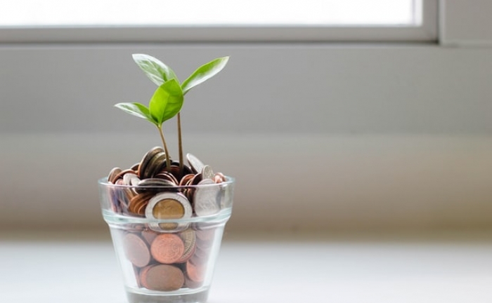 plant-growing-out-of-money-=pot