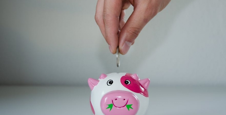 Pink and White Ceramic Pig Coin Bank